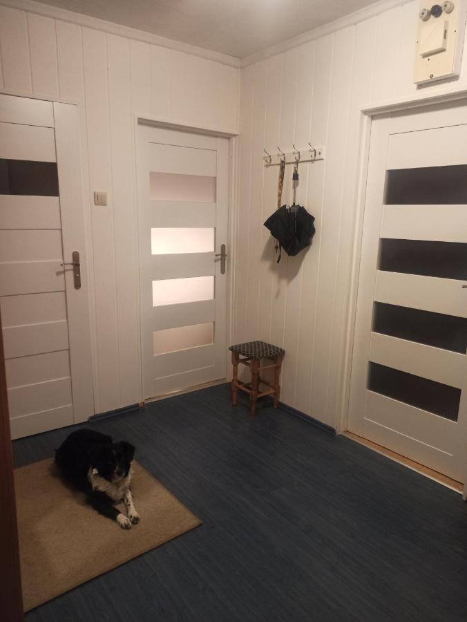 Apartament Za Rogiem Papierni Duszniki Zdroj Ngoại thất bức ảnh